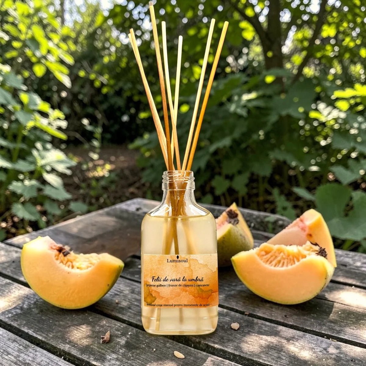 "Felii de Vară la Umbră" – Parfum de Cameră cu Bețișoare | 100ml - Lumisoul