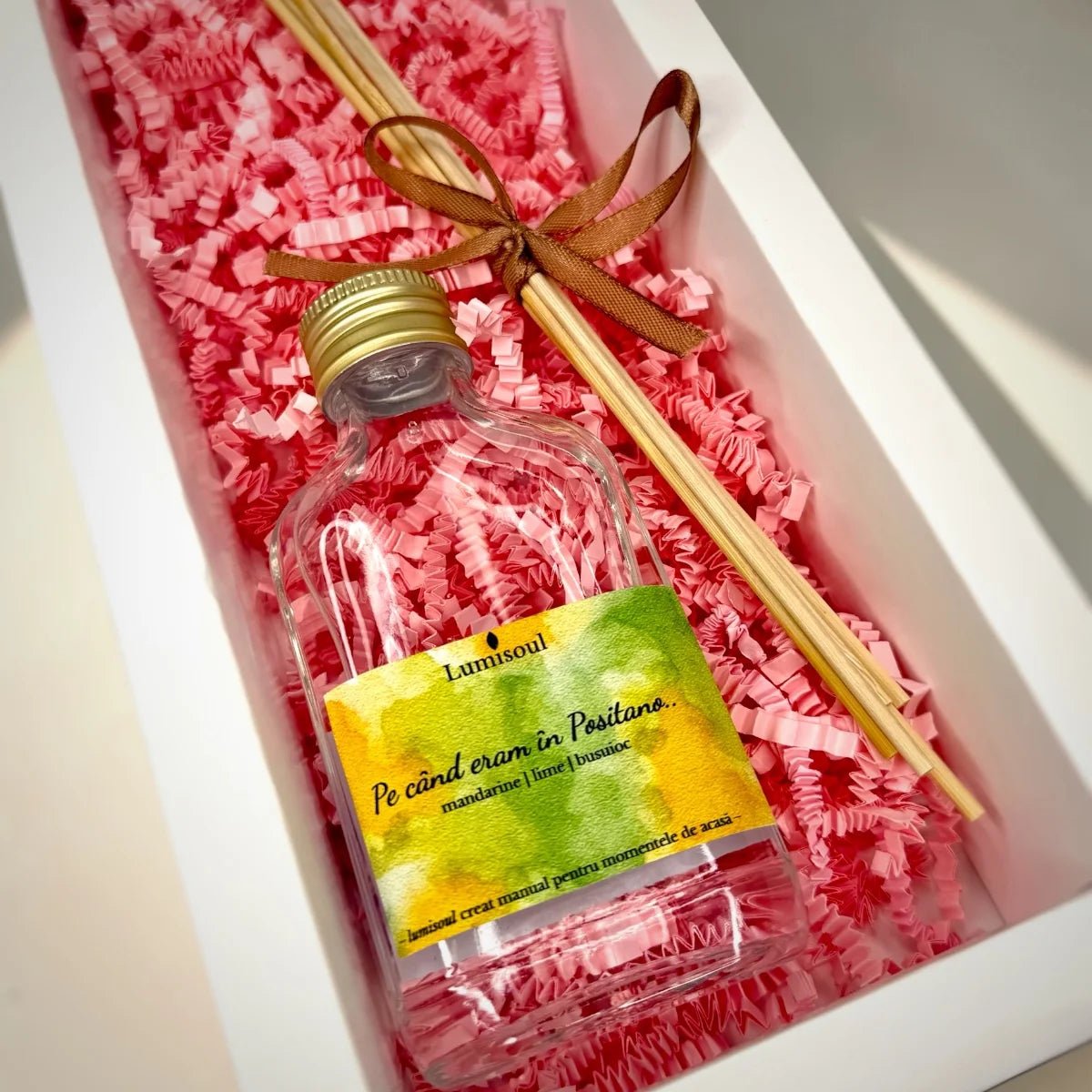 "Pe Când Eram în Positano.." – Parfum de Cameră cu Bețișoare | 100ml - Lumisoul